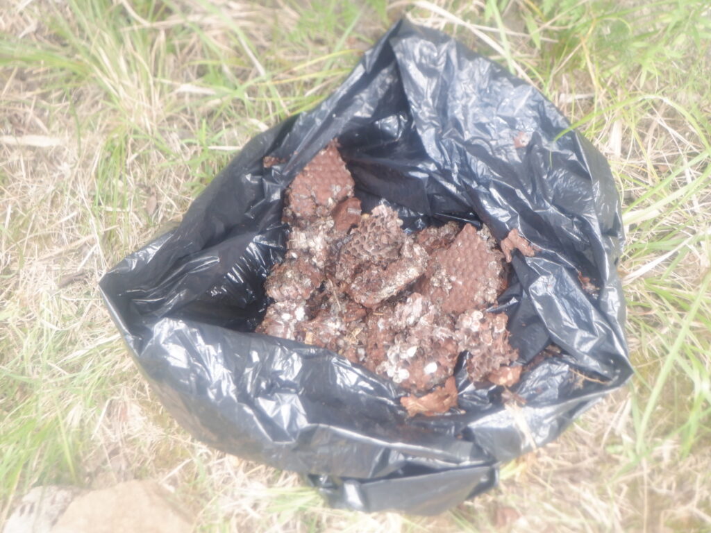 石垣に出来たハチの巣を取り除いた後