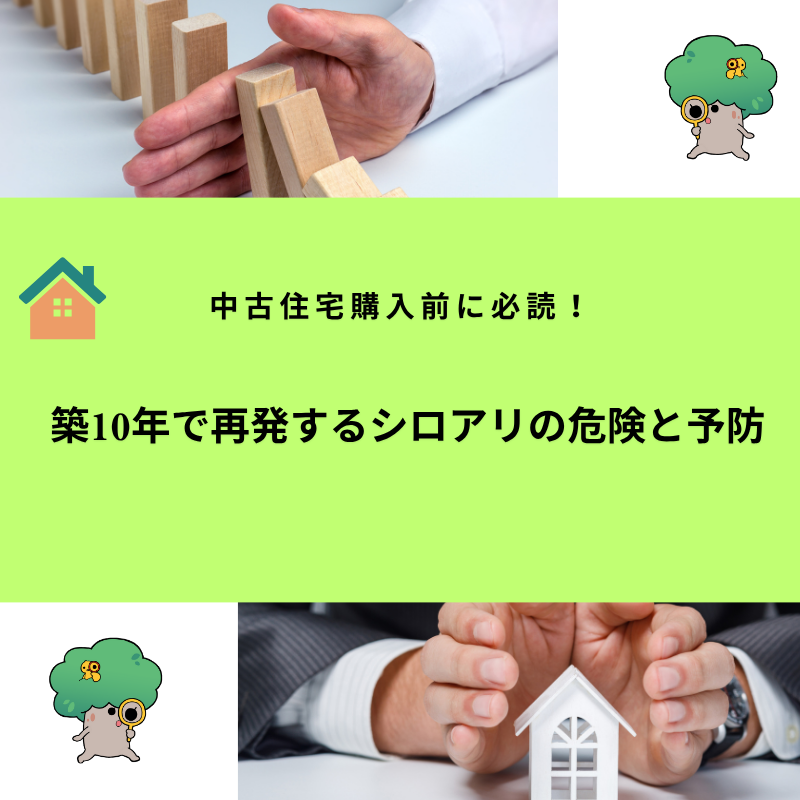 中古住宅購入前に必読！築10年で再発するシロアリの危険と予防の