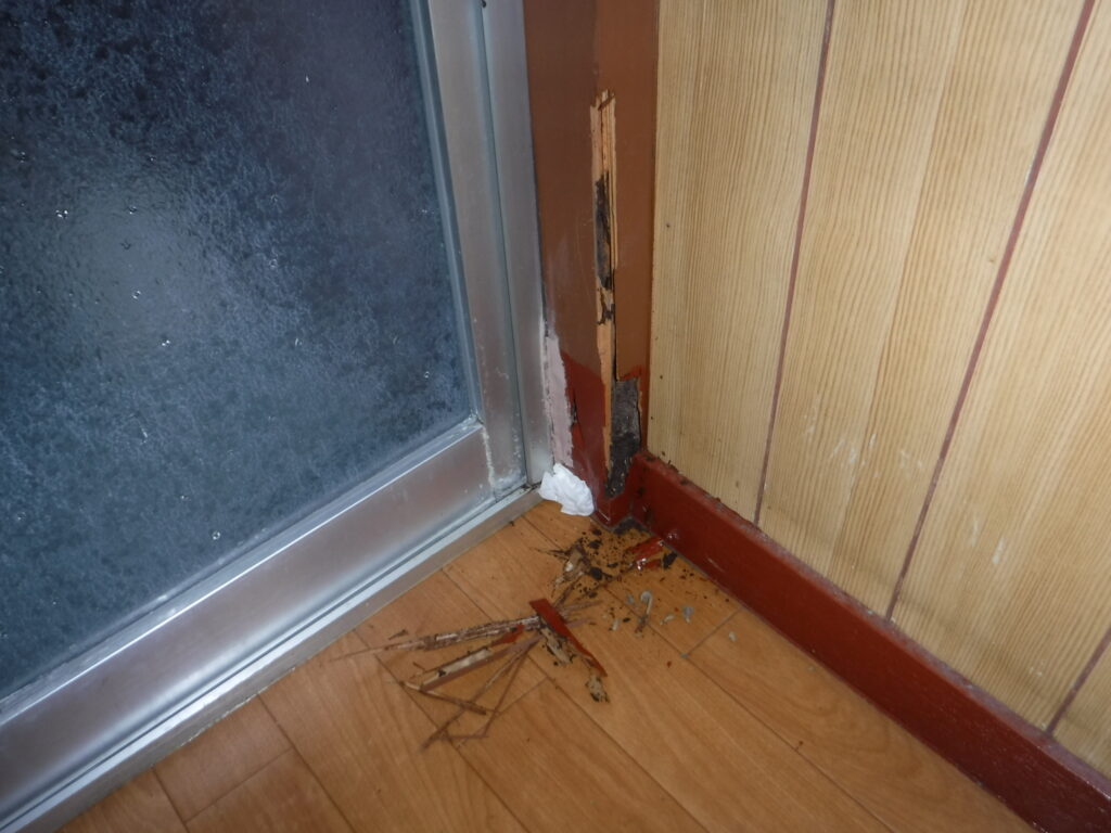 シロアリによる柱被害