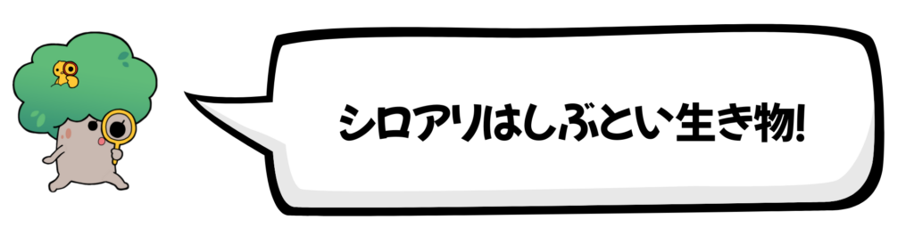 シロアリはしぶとい生き物