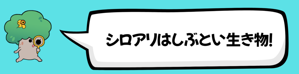 シロアリはしぶとい生き物！