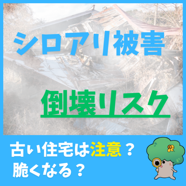シロアリ被害と倒壊リスク