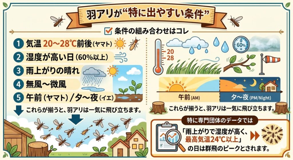 羽アリが発生しやすい気象条件をまとめたインフォグラフィック。気温20〜28℃、湿度60%以上、雨上がりの晴天、無風から微風といった条件が揃うと群飛が起こりやすいことをイラストで解説しています。特に「最高気温24℃以上の雨上がり」がピークであると強調されています。