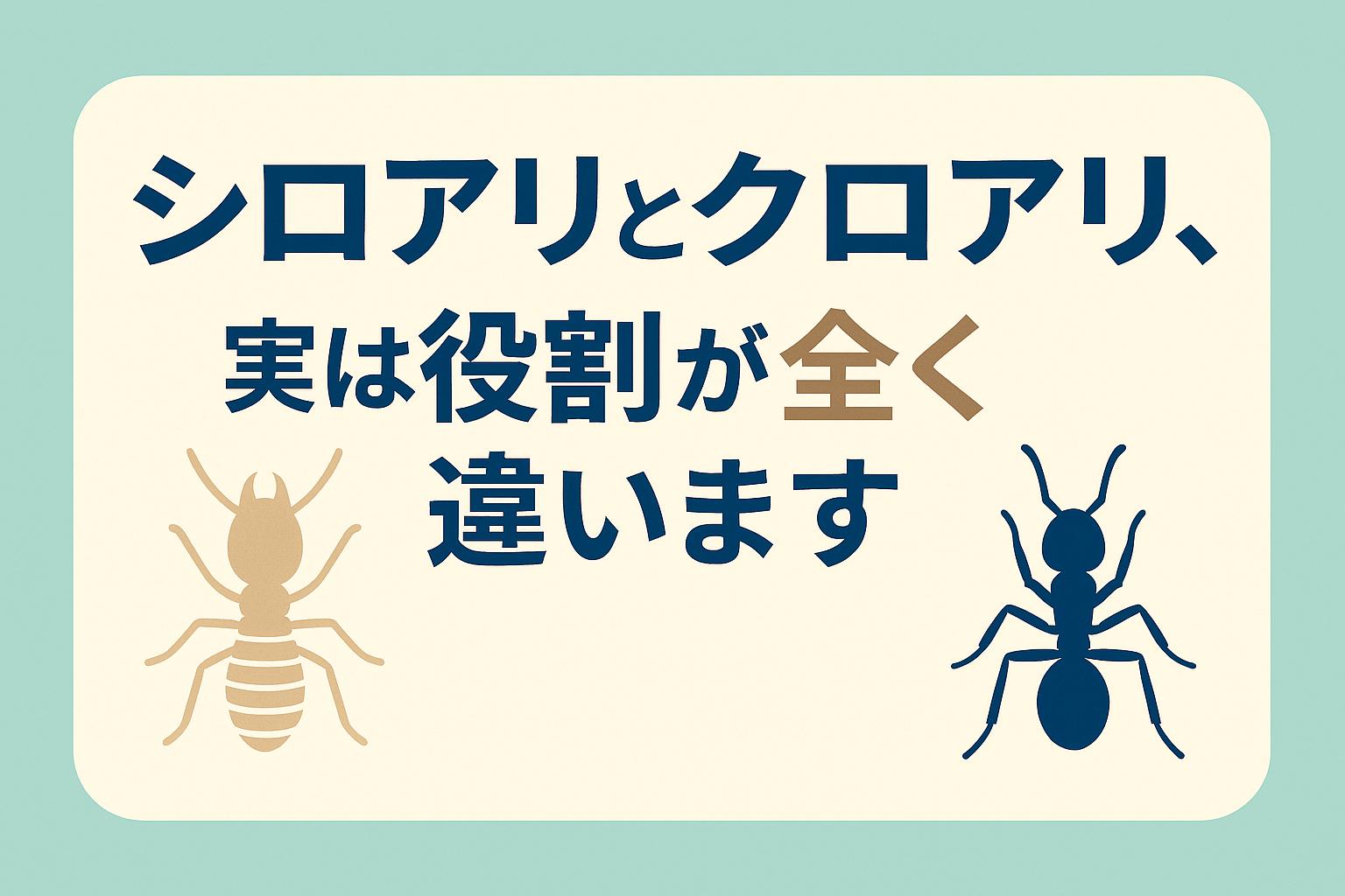 シロアリとクロアリの見分け方|間違えると危険な“発生時期”の判断ポイント | シロアリ駆除隊(広島)