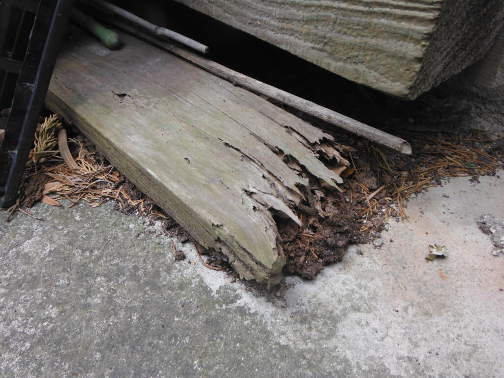 放置された木材がシロアリに食われてボロボロになってる写真