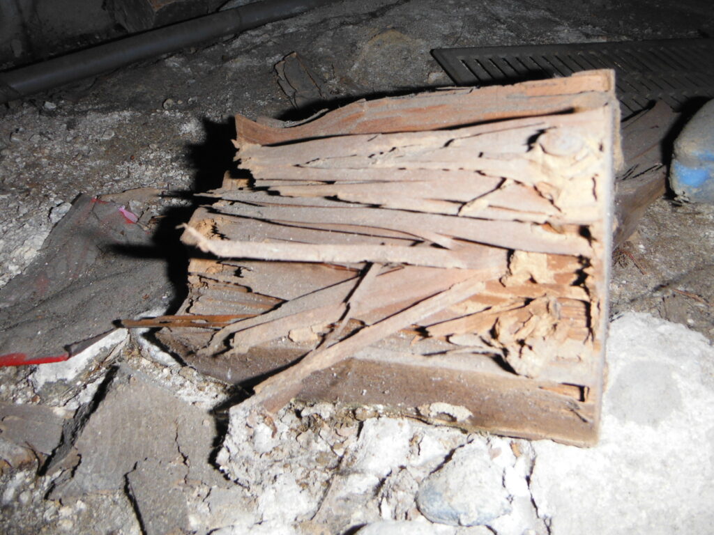 放置された木材がシロアリに食べられてセルロース以外になっている写真