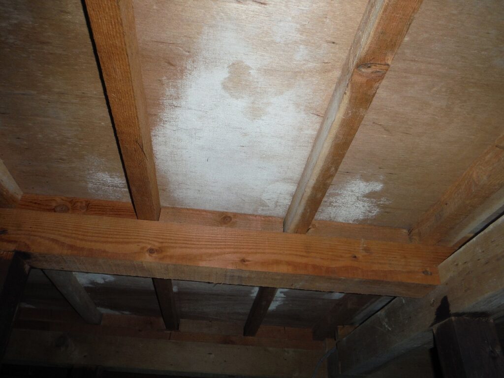 床下からみた床板の白カビ