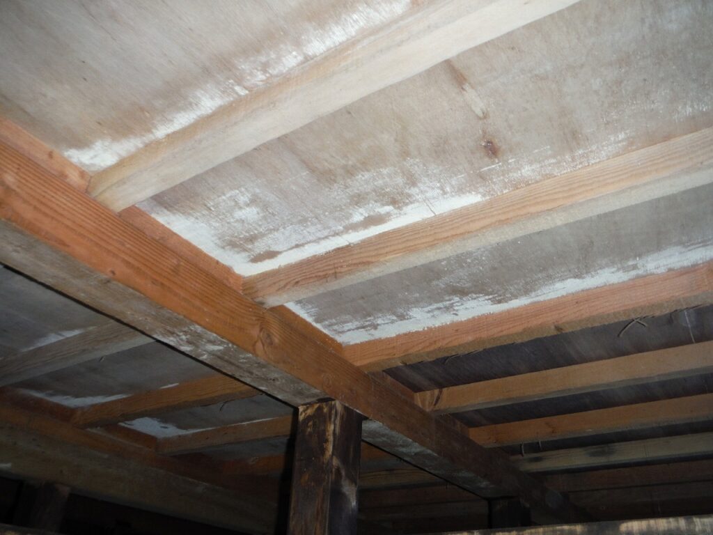 床下からみた床板の白カビ