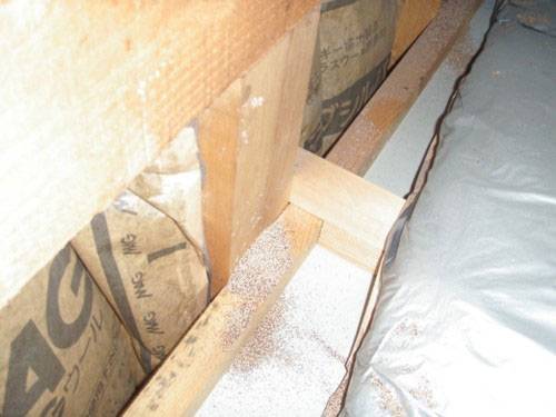 2階小屋裏の桁 アメリカカンザイシロアリの虫糞